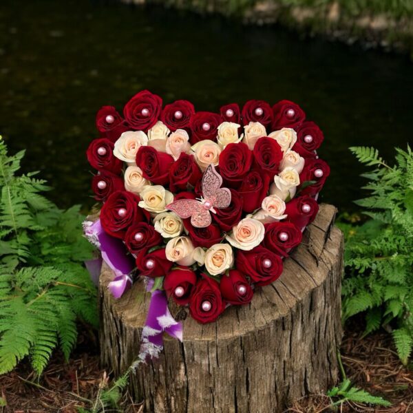 Alegre Corazon