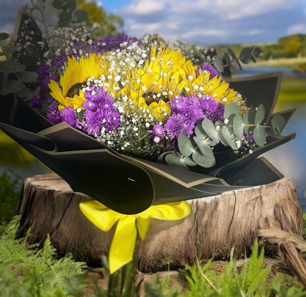 Girasol Primavera